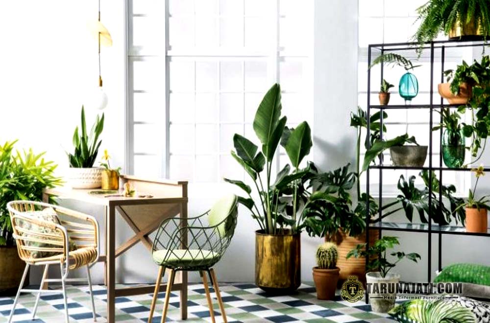 Menempatkan Tanaman Hidup atau Artifisial