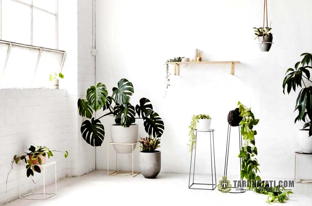 Mengaplikasikan Dinding Berwarna Putih