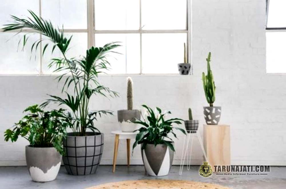 Menggunakan Pot Tanaman yang Variatif