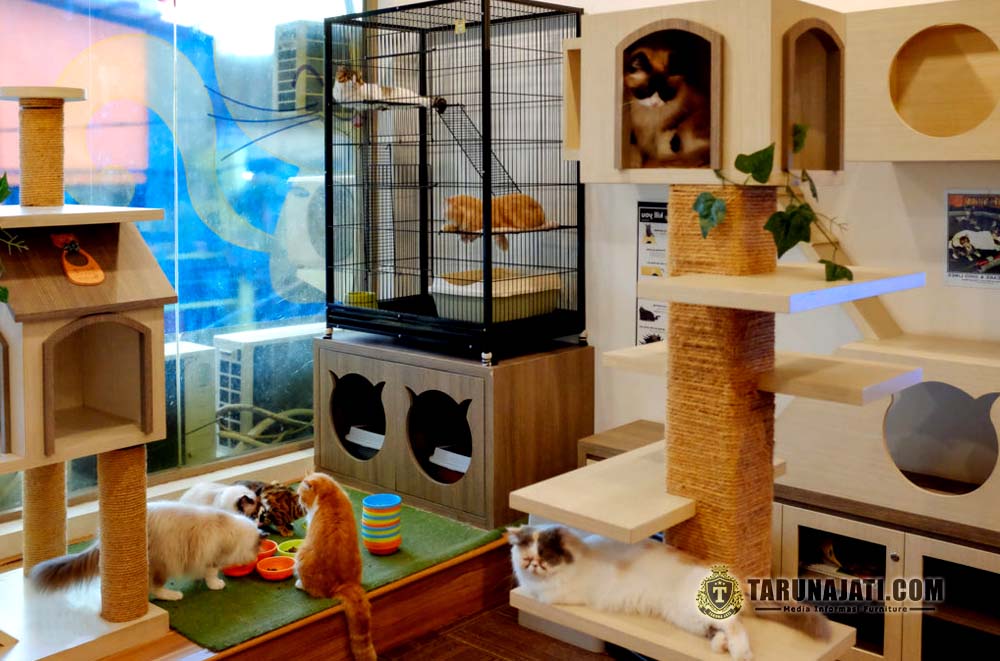 Model Rumah Kucing Bermain Model Rumah Kucing Bermain