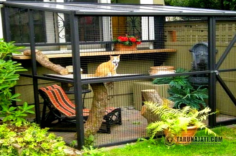 Model Rumah Kucing Outdoor Model Rumah Kucing Outdoor